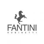 Logo Fantini Rubinetti grigio caimi international